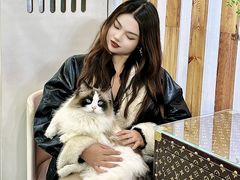 -青奢宠物·青奢猫舍