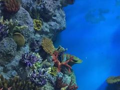 -福州罗源湾海洋世界旅游区