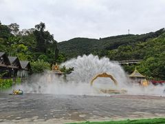 -西双版纳原始森林公园
