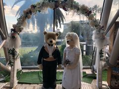 -济州岛泰迪熊博物馆