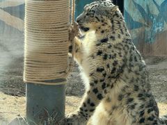 -青藏高原野生动物园