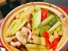西芹啫鱿鱼-鹊玥·粤菜小馆(汇智国际商业中心店)