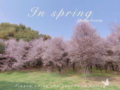 -蜀冈西峰生态公园