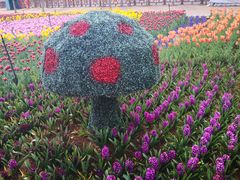 -七彩云南茶(七彩云南第壹城店)