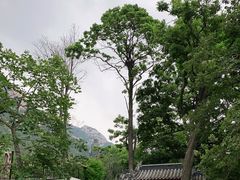 -青岛崂山太清宫