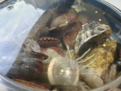 -大锅强·蒸海鲜青岛菜(金沙滩店)