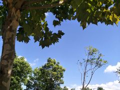 -巴黎贝甜(周浦海印店)