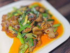 -陈麻婆豆腐(旗舰店)