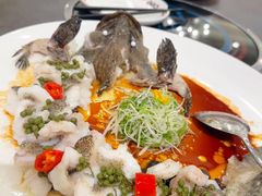 -飞尝蚝·顺德菜·鱼生(顺德总店)