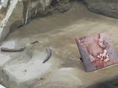 -金沙遗址博物馆