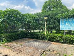 -飞来湖湿地公园