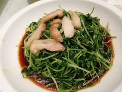 松茸豌豆苗-和记小菜(东方店)