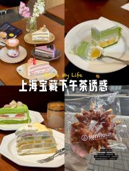 -上海伊莱美医疗美容医院