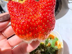 -深海聚汇·牛榴宴·自助料理(江宁万达店)