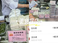 -沈大成(南京东路店)