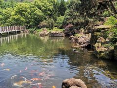 -白马涧龙池景区