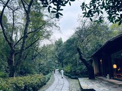 -法云安缦酒店