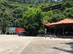 -鲤鱼塘农家山庄