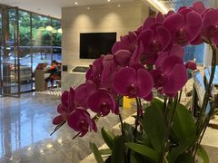 -宏阳·麗悦酒店(广州塔客村地铁站琶州会展中心店)