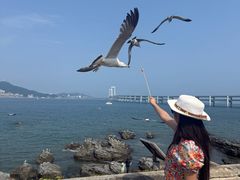 -黑石礁公园