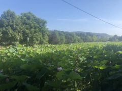 -韶山毛泽东同志故居