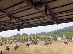 -南国桃园旅游度假区