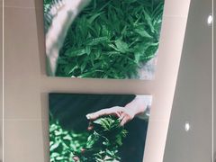 -奈雪的茶(中华广场店)
