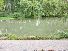 -西溪南古村落