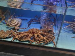 -阿伟海鲜楼·福建菜(延寿店)