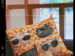 -Oasis coffee燕谷咖啡(公信店)