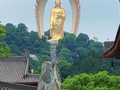 -庐山风景名胜区-东林大佛