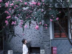 -龙潭水乡