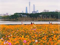 -海珠湖公园