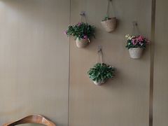 -桃花江餐厅·江景-约会·聚会