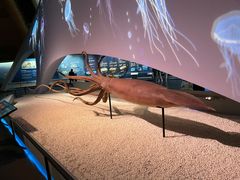 -贝林大翅鲸简餐厅(国家海洋博物馆店)