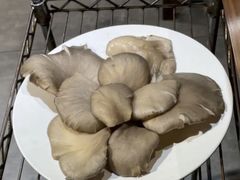 鲜蘑-友乐居羊蝎子(西直门店)