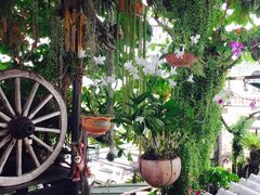 -自然餐厅(Phuket)
