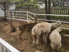 -丽泽山庄·生态怀柔菜·虹鳟鱼(红螺寺店)