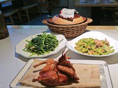 -鸽小宝(深圳首店)