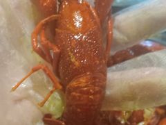 -红钳侠小龙虾·烧烤(中赢康康谷店)