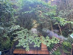 -夏霖九天银瀑风景区