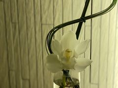-上海外滩悦榕庄酒店