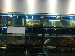 水产区-胖大嫂渔家排档(半边山店)