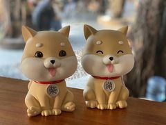 -柴犬高等学院·狗咖·柴犬售卖·宠物训练