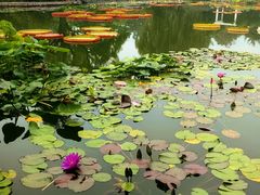 -国家植物园南园