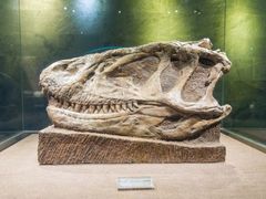 -自贡恐龙博物馆