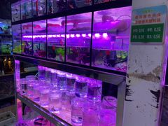 -三旗百汇商品城