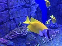 -成都浩海立方海洋公园