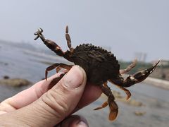 -兴城海滨风景区
