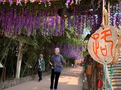 -呀路古热带植物园